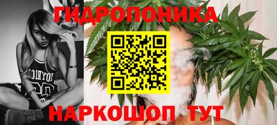 MDMA Бердск