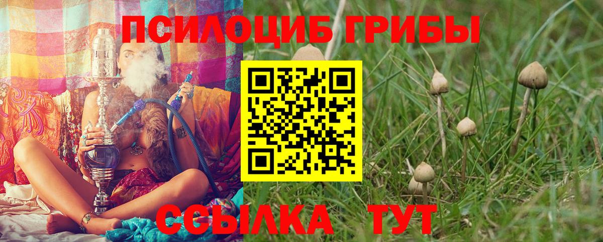 Ижевск  Галлюциногенные грибы прущие грибы  Вход с VPN 
