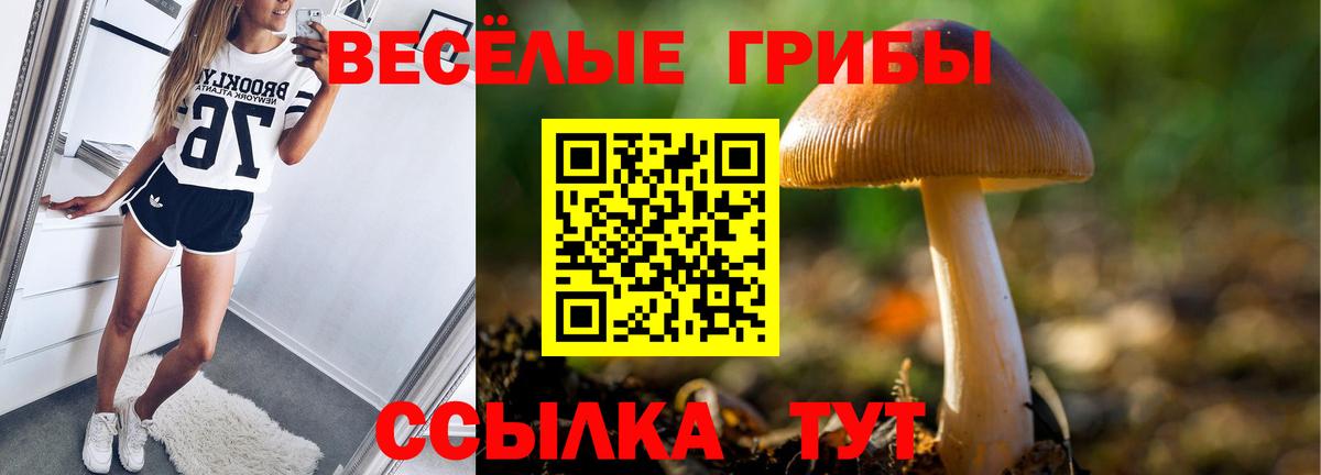 Псилоцибиновые грибы Cubensis Ижевск